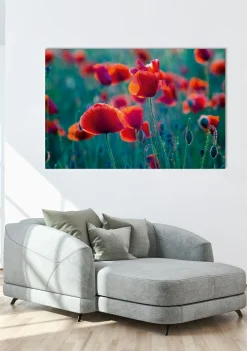 Sonstige Akustikbild MOHNFELD