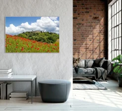 Sonstige Akustikbild MOHNWIESE 1