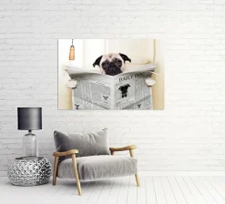 New Sonstige Akustikbild MOPS MIT ZEITUNG