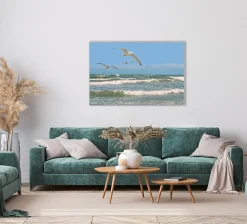 Sonstige Akustikbild MÖWEN