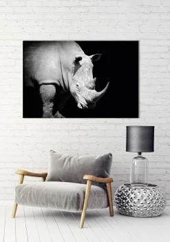 Outlet Sonstige Akustikbild NASHORN