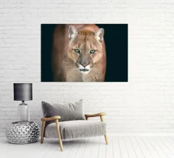 Sonstige Akustikbild PUMA