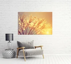 Sonstige Akustikbild PUSTEBLUME