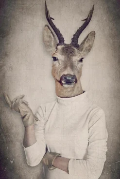 Sonstige Akustikbild REHBOCK