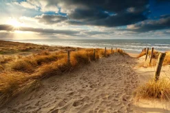 Sonstige Akustikbild SANDWEG ZUM MEER 3