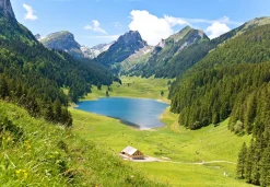 Clearance Sonstige Akustikbild SEE IM TAL