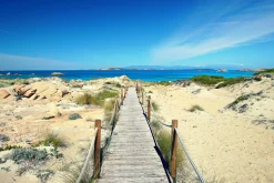 Sale Sonstige Akustikbild STEG