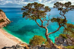 Clearance Sonstige Akustikbild STEILKÜSTE