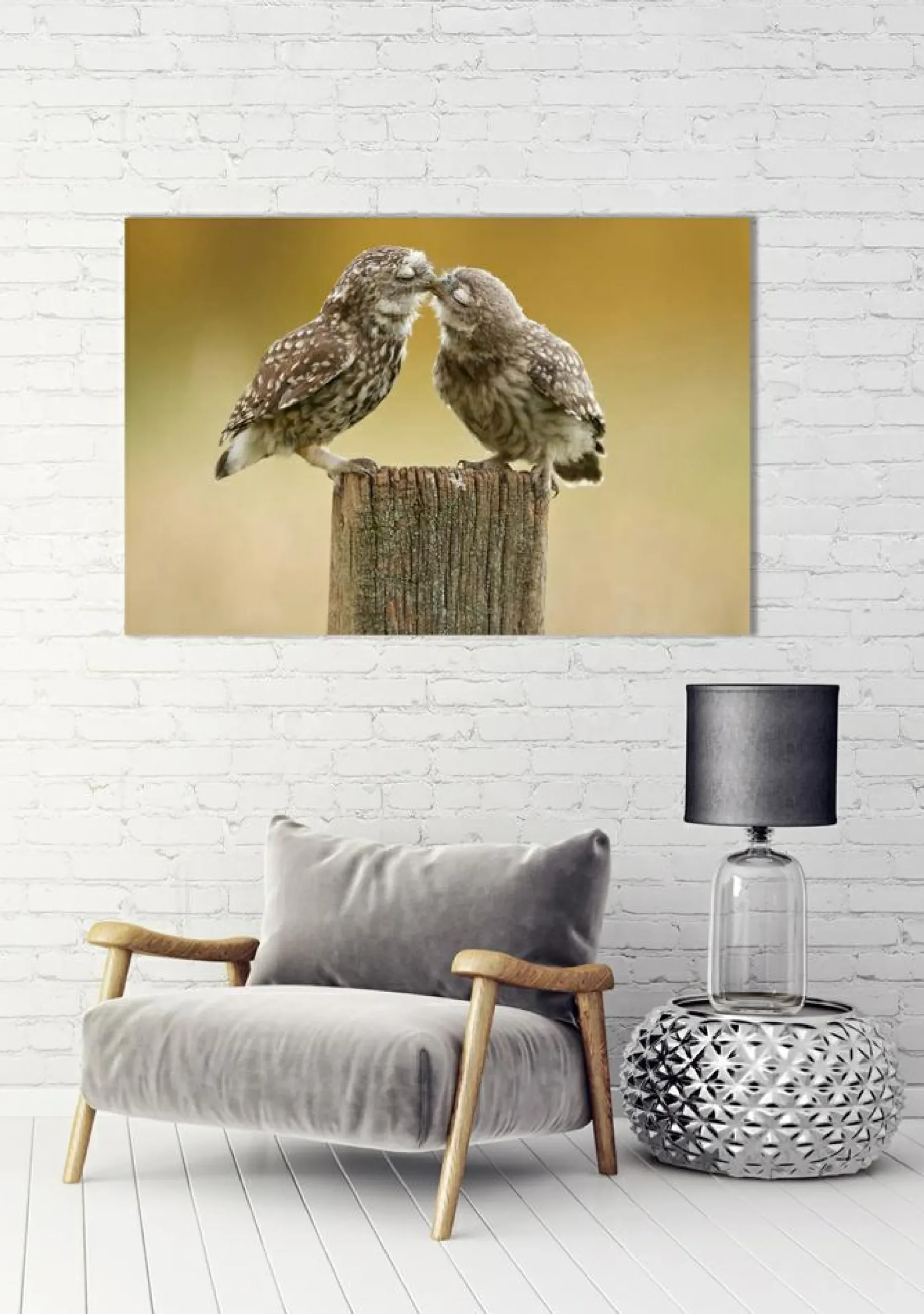 Online Sonstige Akustikbild VERLIEBTE KÄUZCHEN