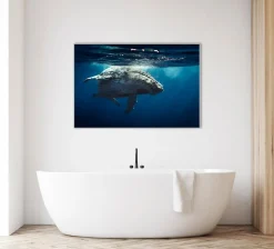 Sonstige Akustikbild WAL