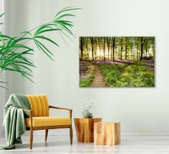 Sonstige Akustikbild WALDWEG