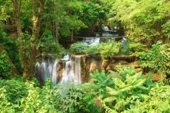 Sonstige Akustikbild WASSERFALL 2