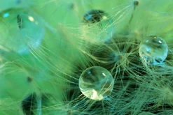 Sonstige Akustikbild WASSERPERLEN