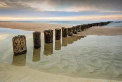 New Sonstige Akustikbild WELLENBRECHER 1