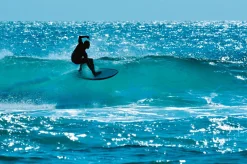 Sonstige Akustikbild WELLENREITER