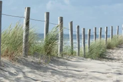 Online Sonstige Akustikbild ZAUN IN DEN DÜNEN