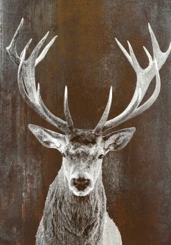 Sale PRO ART Aludibondbild BROWNDEER II