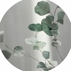 PRO ART Aludibondbild EUCALYPTUS