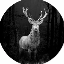 Hot PRO ART Aludibondbild GREY DEER HEAD I