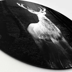 Hot PRO ART Aludibondbild GREY DEER HEAD I