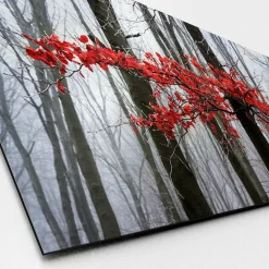 Outlet PRO ART Aludibondbild MYSTIC TREES II