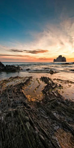 Hot PRO ART Aludibondbild NATURE MOTIVE I