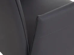 bert plantagie Armlehnstuhl DIRIO