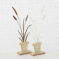 Sonstige Aufsteller NOLANI