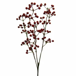 Discount GASPER Beerenzweig