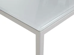 ROLF BENZ Beistelltisch 912