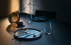 WMF Besteckgarnitur SENTIC