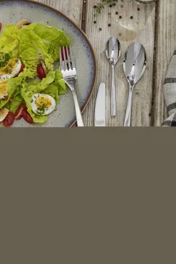 ZWILLING Besteckgarnitur ALBANY