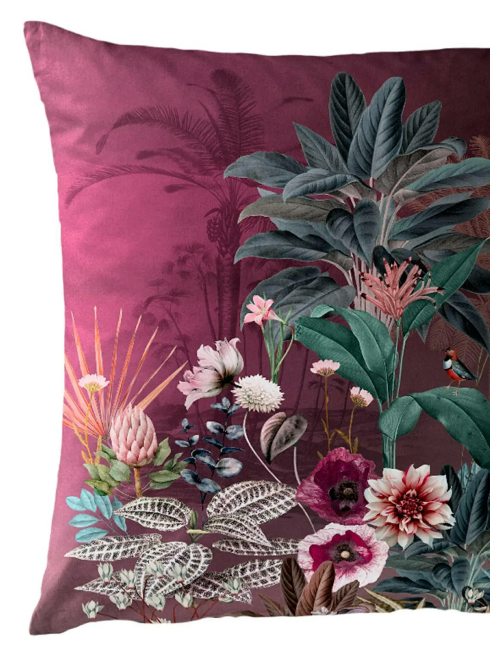 Sale BIERBAUM Bettwäsche Mako-Satin rubin