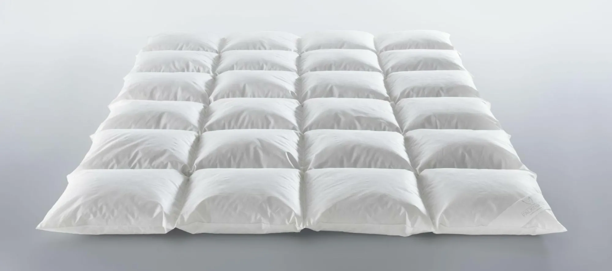 FALKENRECK Daunenbett COSY Relax