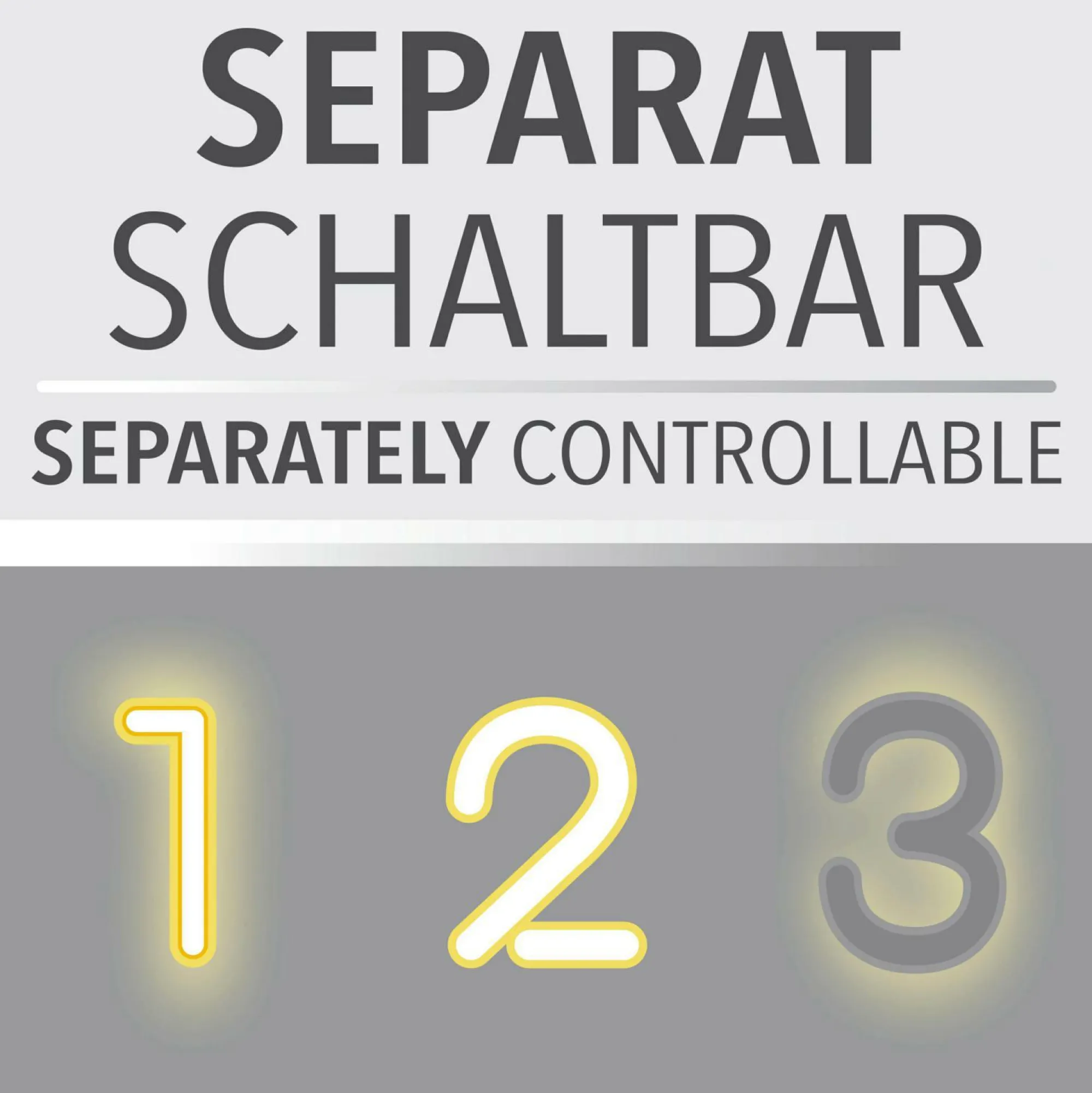 Neuhaus PURE Deckenleuchte PURE LOOP