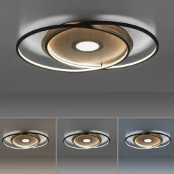 Paul Neuhaus Deckenleuchte Q-AMIRA