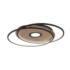 Paul Neuhaus Deckenleuchte Q-AMIRA