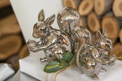 Online Fink Eichhörnchen RUDA