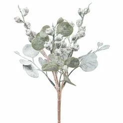 Sale GASPER Eucalyptusbusch mit Früchten