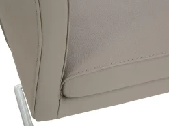 NIEHOFF SITZMÖBEL Freischwinger NEELE