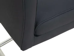 NIEHOFF SITZMÖBEL Freischwinger NEELE