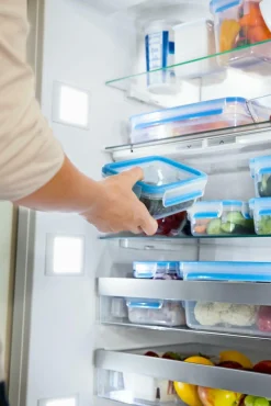 emsa Frischhaltedose CLIP & CLOSE