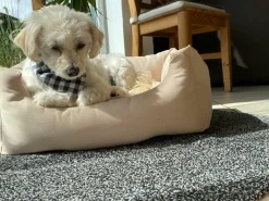 ASTRA Fußmatte Entra