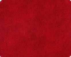 ASTRA Fußmatte Entra