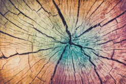 Best KLEEN-TEX Fußmatte WOOD Land