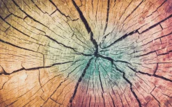 KLEEN-TEX Fußmatte WOOD Land