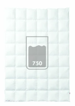 sanders Ganzjahresbett PREMIUM