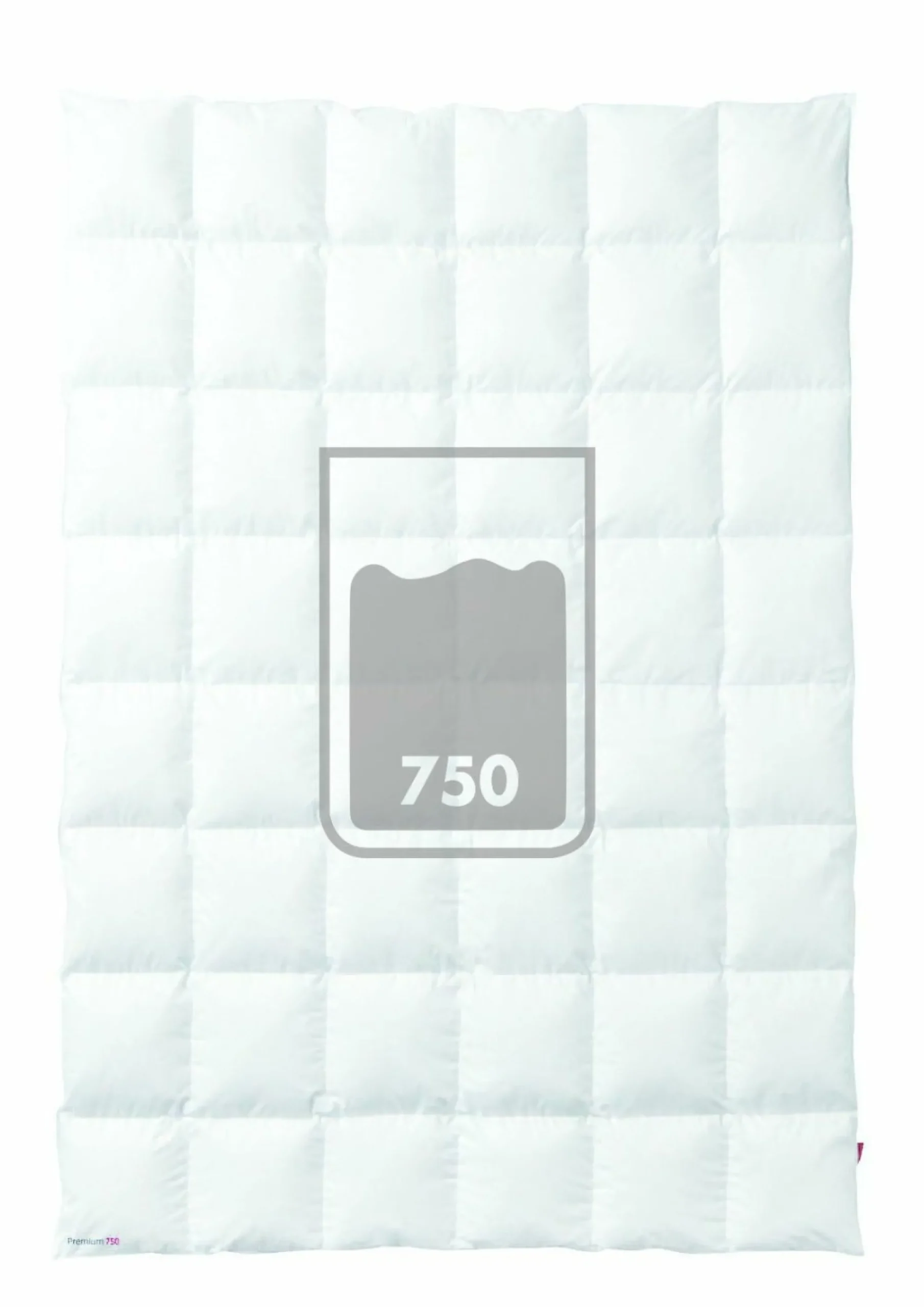 sanders Ganzjahresbett PREMIUM