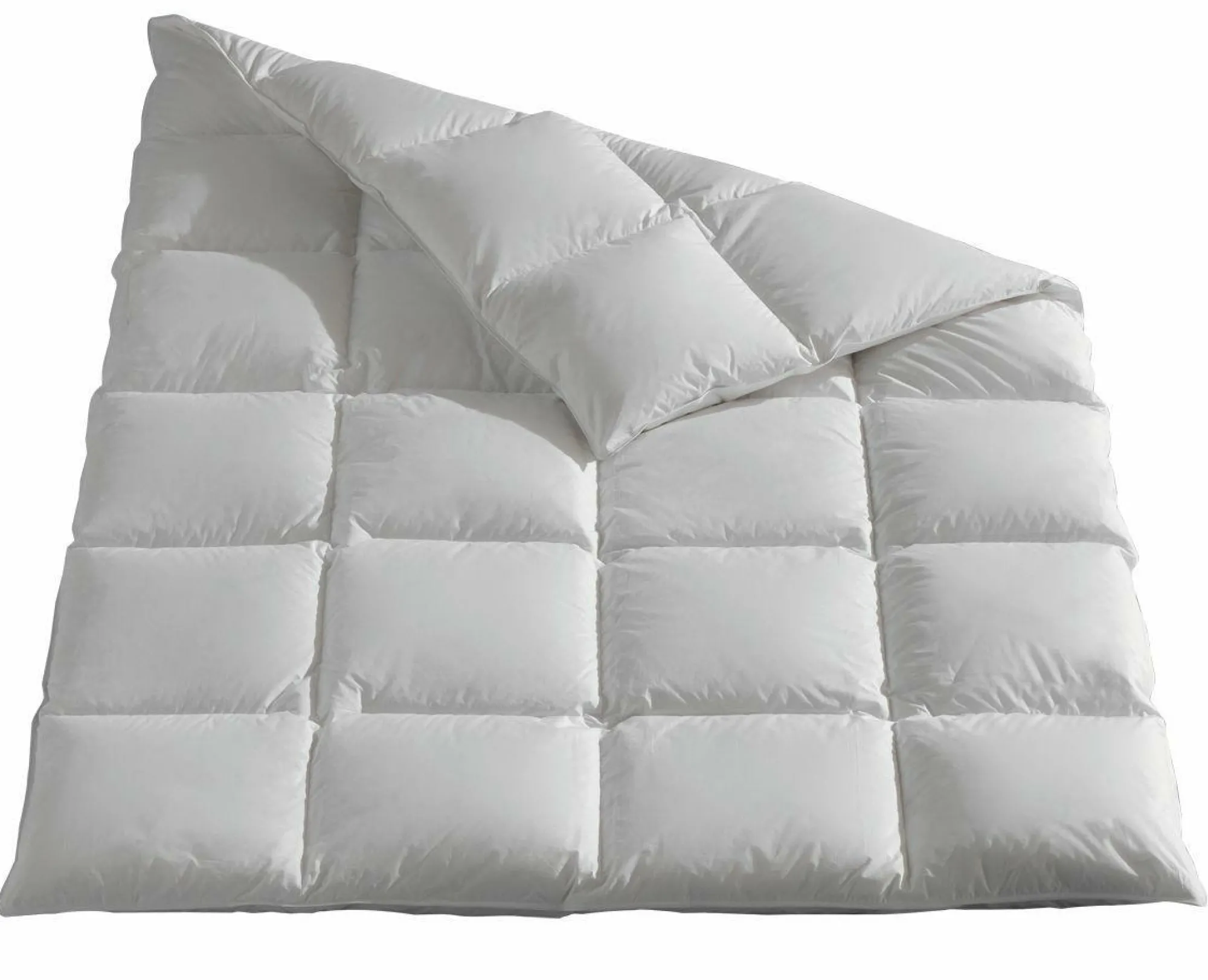 Sonstige Ganzjahresbett PRONIGHT BIO