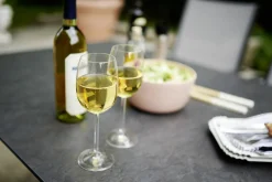 Hot sieger Gartentisch POLYTEC